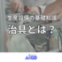 [product_246551]
