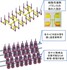 แม่พิมพ์แบบหลายโพรงแบบ (Multi-Cavity Mold) (ชลบุรี, ประเทศไทย)