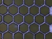 /temp/200_150_3d6409ad51f69730f904db26cfaa4ece.jpg