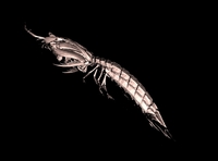 /temp/200_150_8a0ab8b818712d287fb495ce7b7da3af03a42892.jpg
