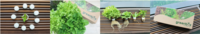 /temp/200_150_ff1e6e1077ac0cca26b25722e69101f5.png