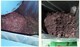 ลดตะกอนสีในบูธพ่นสี VOC ด้วย TS1502C – รองรับ Tolunen, Xylene, MEK