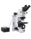 Industrial Microscopes Thailand 