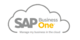 SAP Business One: โซลูชั่น ERP สำหรับธุรกิจขนาดเล็กและกลาง (SME)